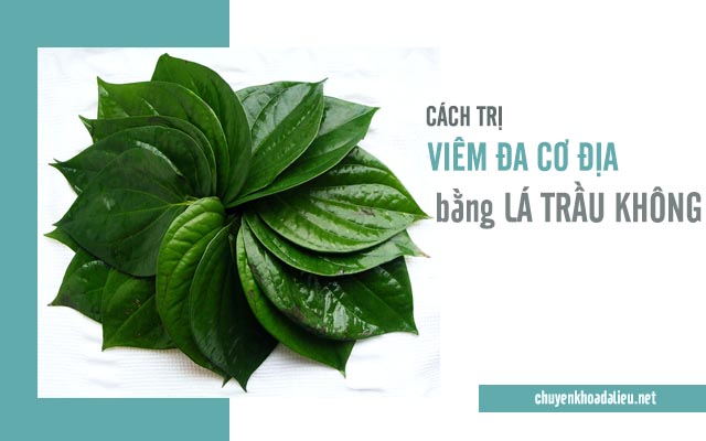 Tắm nước lá trầu không chữa viêm da cơ địa hiệu quả 