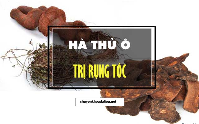 Cách chữa rụng tóc tại nhà bằng hà thủ ô