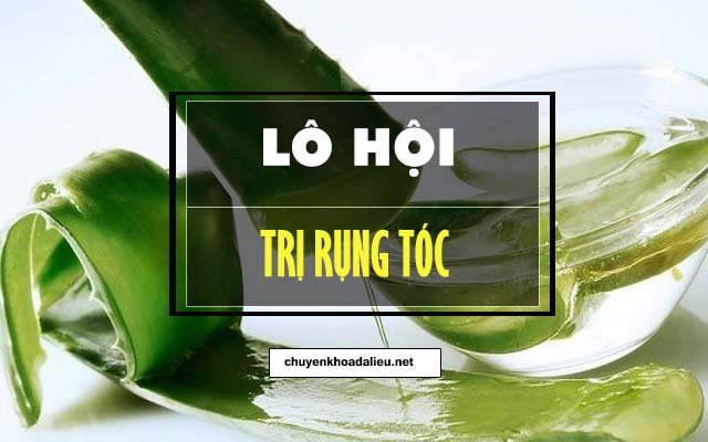 cách trị rụng tóc bằng lô hội