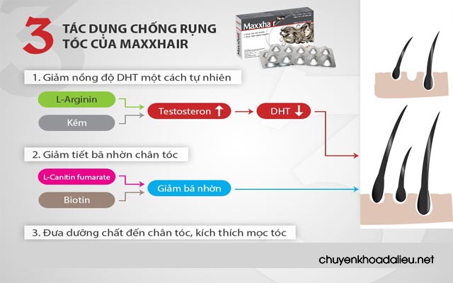 Công dụng được giới thiệu của Maxxhair