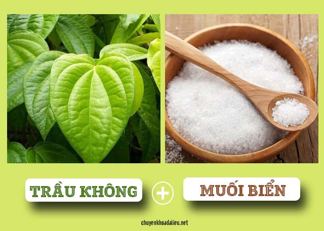 Cách chữa bệnh tổ đỉa bằng lá trầu không và muối biển