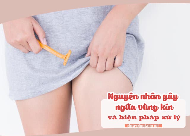 nguyên nhân gây ngứa vùng kín