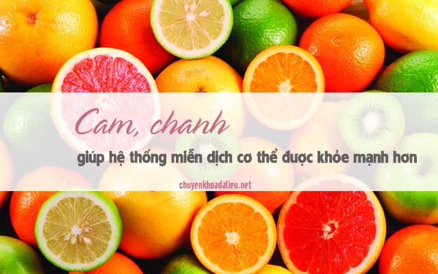 cam, chanh thực phẩm dứt điểm cơn ngứa và nổi mề đay