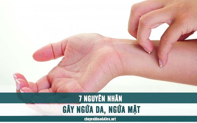 nguyên nhân gây ngứa da, ngứa mặt