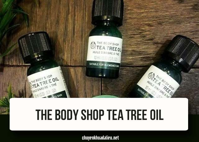 cách trị mụn bọc mụn mủ bằng tea tree oil 