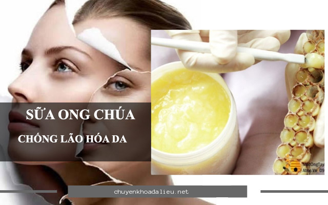 sữa ong chúa ngăn ngừa lão hóa