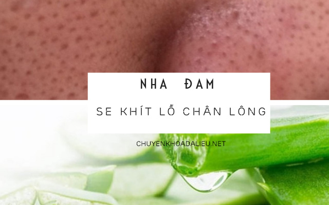 se khít lỗ chân lông bằng nha đam1