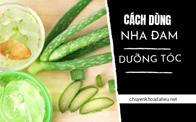 cách dưỡng tóc bằng nha đam