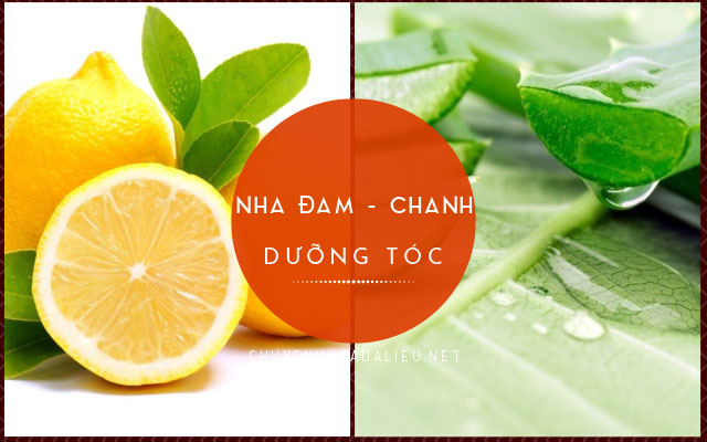 nha đam dưỡng tóc4