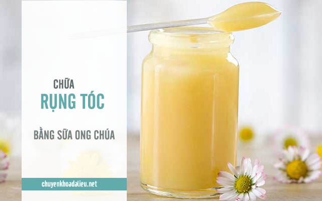 chữa rụng tóc bằng sữa ong chúa