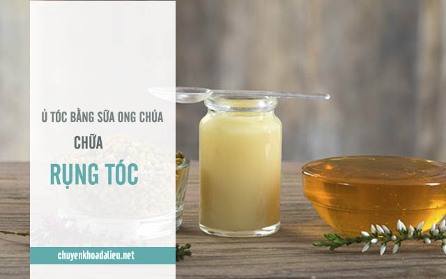 Dùng sữa ong chúa để ủ tóc 