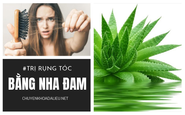 cách trị rụng tóc bằng nha đam