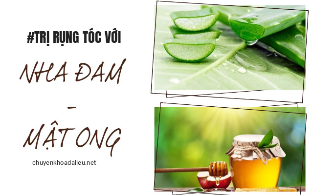 cách trị rụng tóc bằng nha đam và mật ong