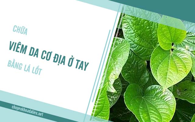 Chữa viêm da cơ địa ở tay bằng lá lốt