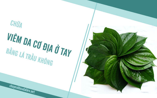 Dùng lá trầu không chữa bệnh viêm da cơ địa ở tay 