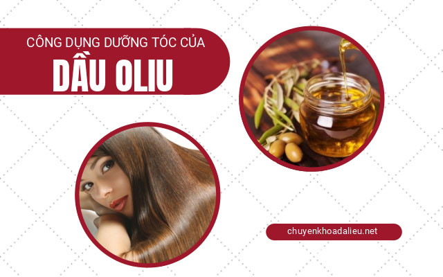 dưỡng tóc bằng dầu oliu1