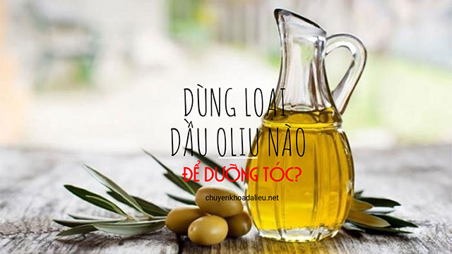 dưỡng tóc bằng dầu oliu4