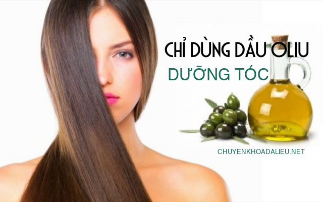 dưỡng tóc bằng dầu oliu2