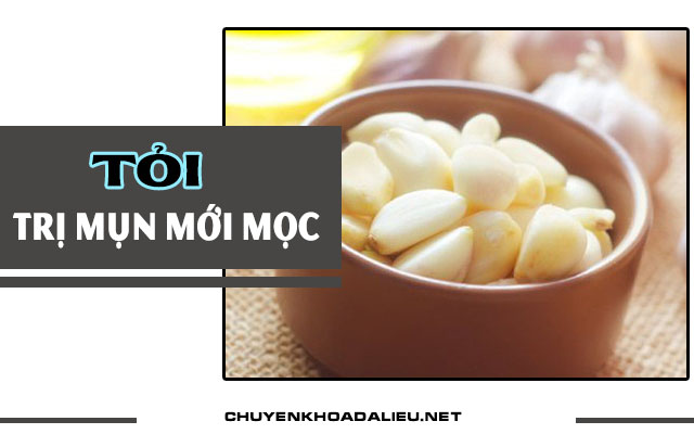 trị mụn mới nổi với tỏi