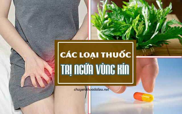 các loại thuốc trị ngứa vùng kín