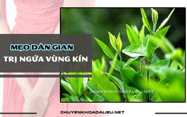 bài thuốc dân gian trị ngứa vùng kín