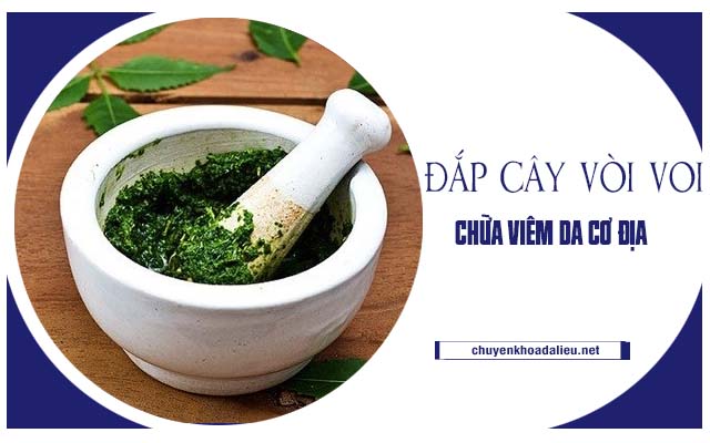 đắp cây vòi voi chữa viêm da cơ địa