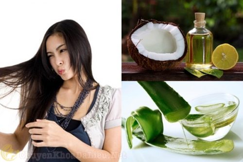 Cách chữa rụng tóc sau sinh bằng dầu dừa kết hợp với nha đam
