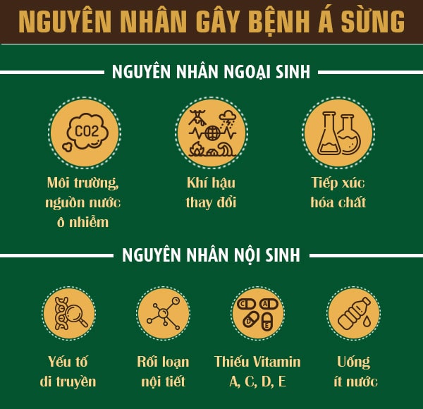 Có nhiều nguyên nhân khác nhau gây bệnh á sừng