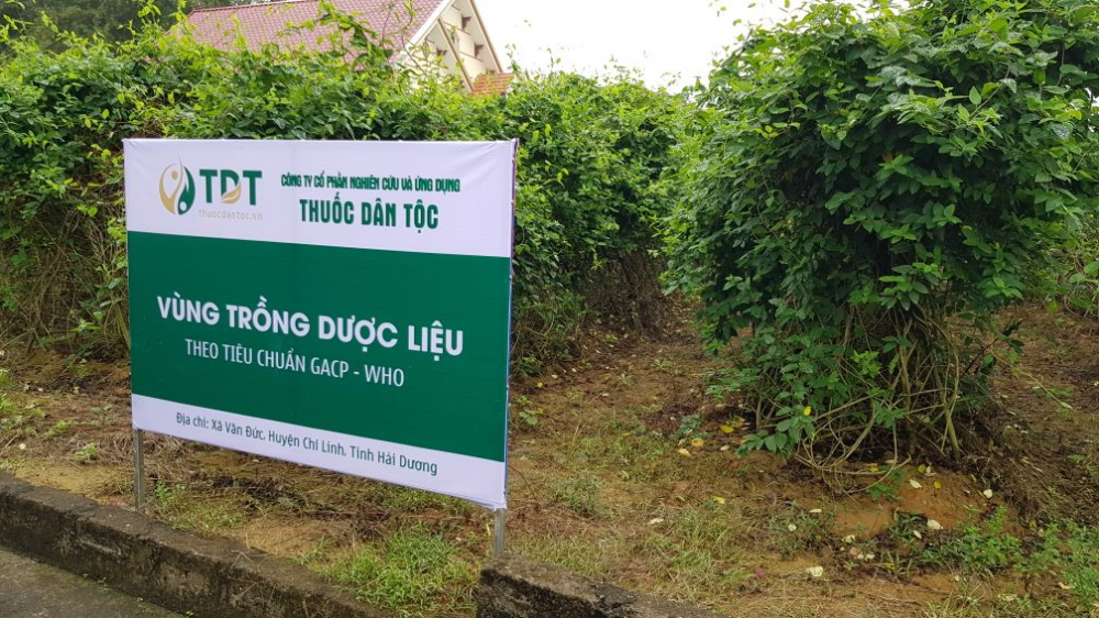 Vùng dược liệu sạch của Trung tâm Thuốc dân tộc