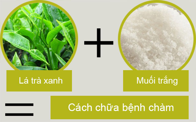 Cách chữa bệnh chàm bằng trà xanh