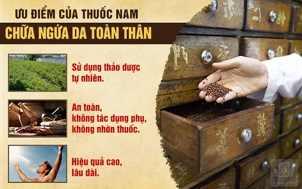 Thuốc nam chữa ngứa toàn thân được ưa chuộng