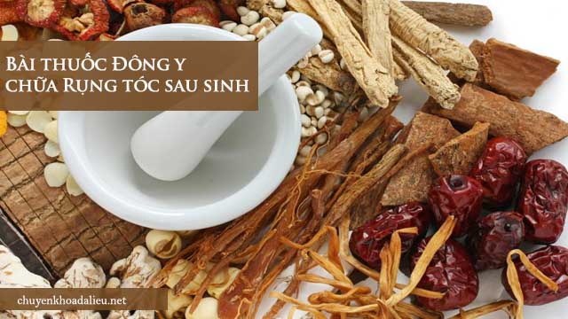 Bài thuốc chữa rụng tóc sau sinh hiệu quả