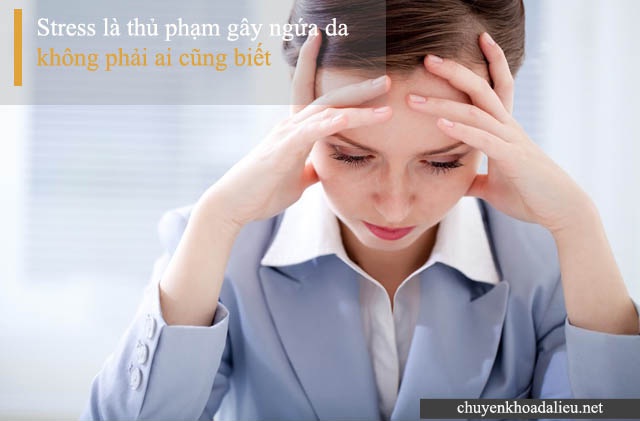 Stress là một trong những nguyên nhân gây bệnh ngứa da