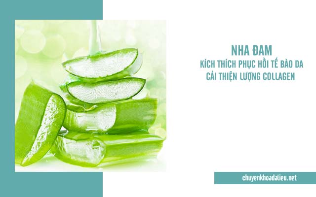 Cách chữa rạn da lâu năm bằng nha đam