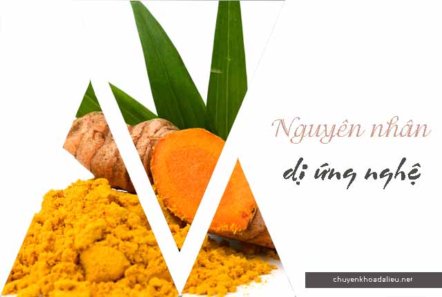 Nguyên nhân nào dẫn đến việc dị ứng nghệ 