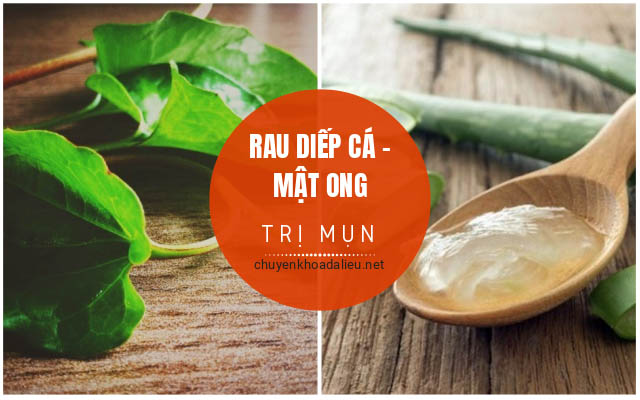 nha đam và rau diếp cá trị mụn