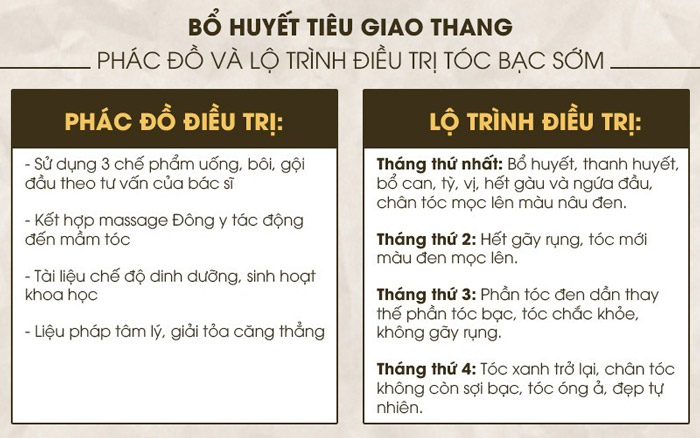 Phác đồ điều trị tóc bạc sớm với bài thuốc Bổ huyết Tiêu giao thang