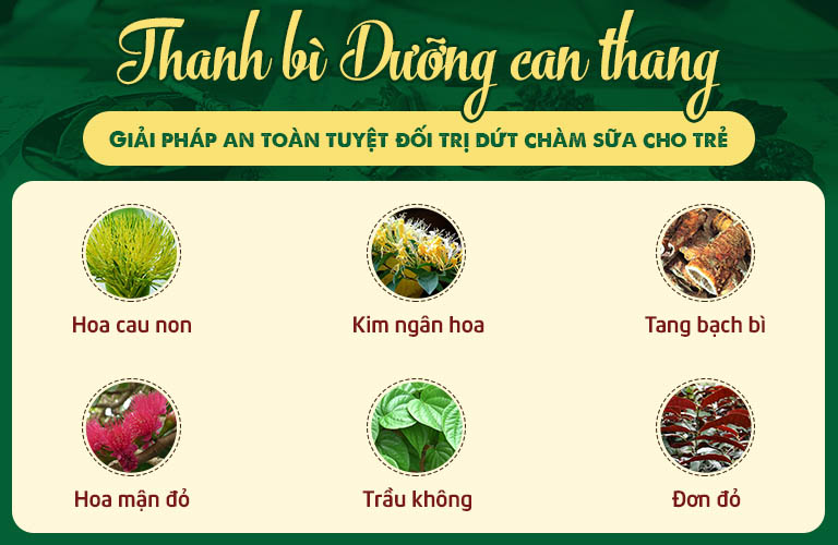 Thành phần thảo dược trong Thanh bì Dưỡng can thang