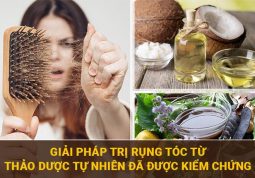 Cách trị rụng tóc từ thảo dược