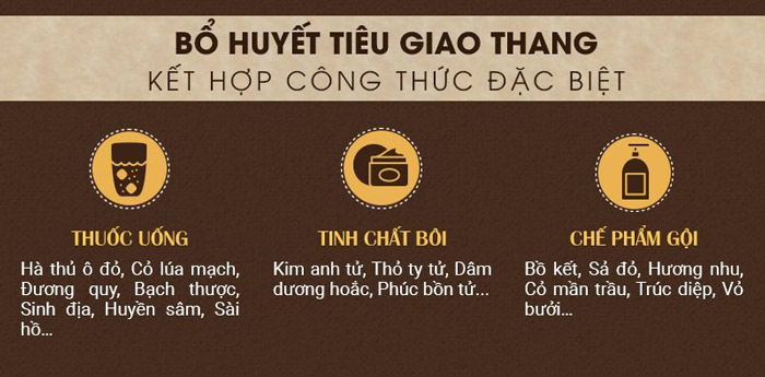 Công thức trị tóc bạc sớm đặc biệt Bổ huyết Tiêu giao thang