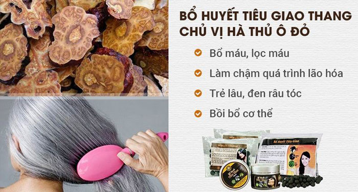 Bổ huyết Tiêu giao thang chủ vị Hà thủ ô đỏ