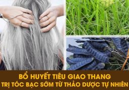 Cách trị rụng tóc từ thảo dược