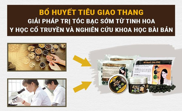 Giải pháp trị tóc bạc sớm từ tinh hoa YHCT và nghiên cứu khoa học bài bản