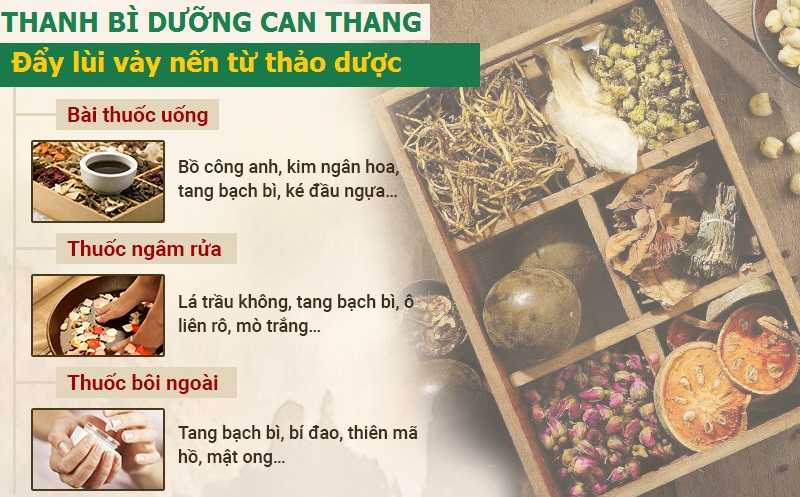 Minh họa bài thuốc Thanh bì Dưỡng can thang