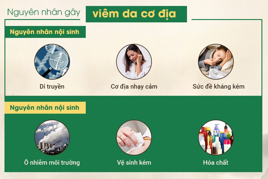 Bệnh viêm da cơ địa có thể do nhiều yếu tố khác nhau gây ra