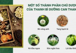 Thành phần bài thuốc Thanh bì Dưỡng can thang