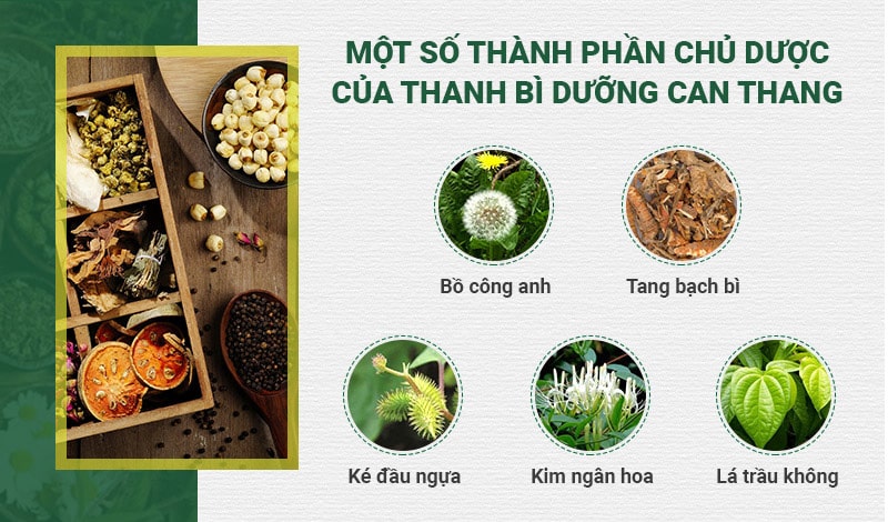 Thành phần bài thuốc Thanh bì Dưỡng can thang