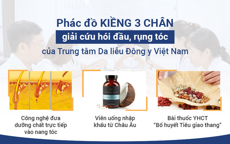 Mayo Clinic  Địa chỉ điều trị rụng tóc hói đầu không xâm lấn hàng đầu Việt  Nam  alobancanbietvn