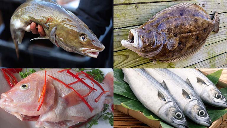 Mẹ nên kiêng đồ tanh để tránh làm nặng thêm các triệu chứng ở trẻ