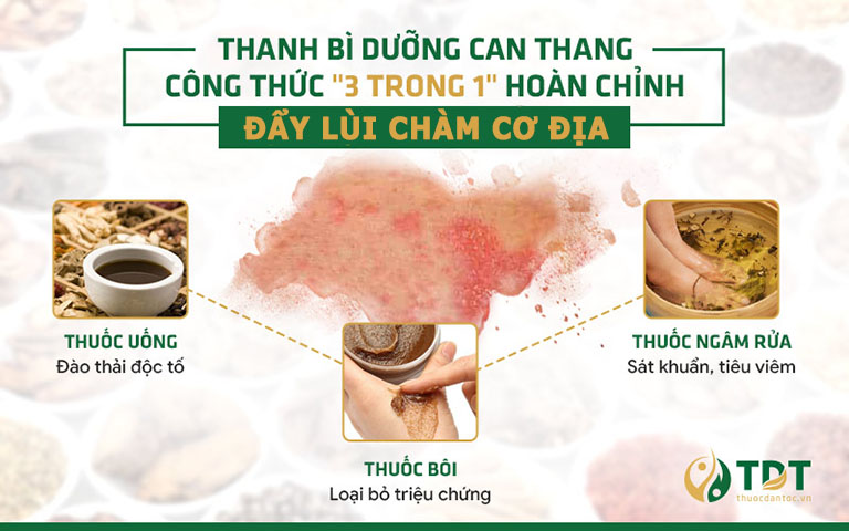 3 chế phẩm xử lý hiệu quả gốc bệnh